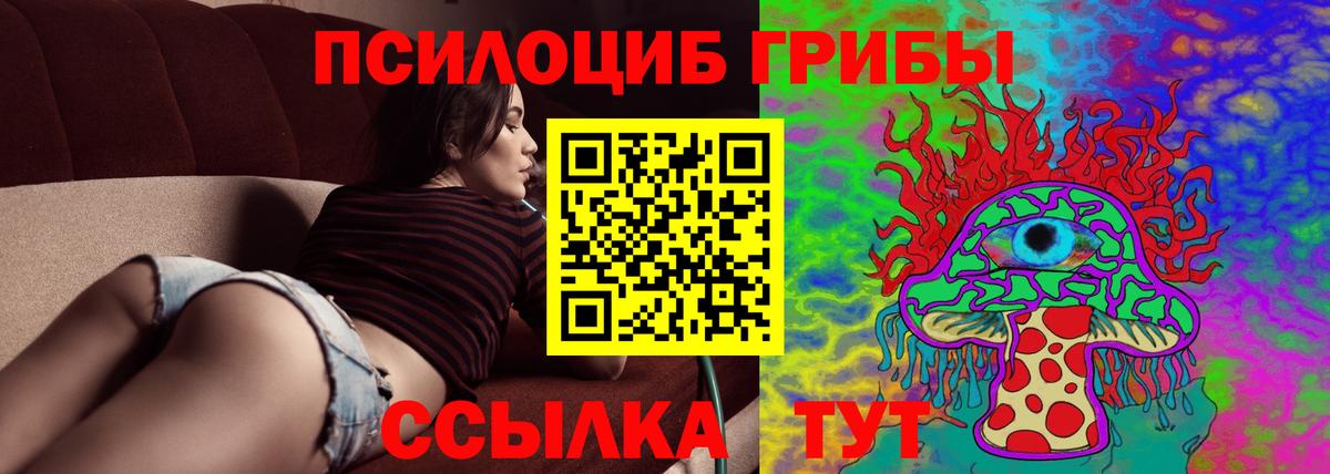 Ростов-на-Дону  Галлюциногенные грибы Psilocybe  Вход с VPN 