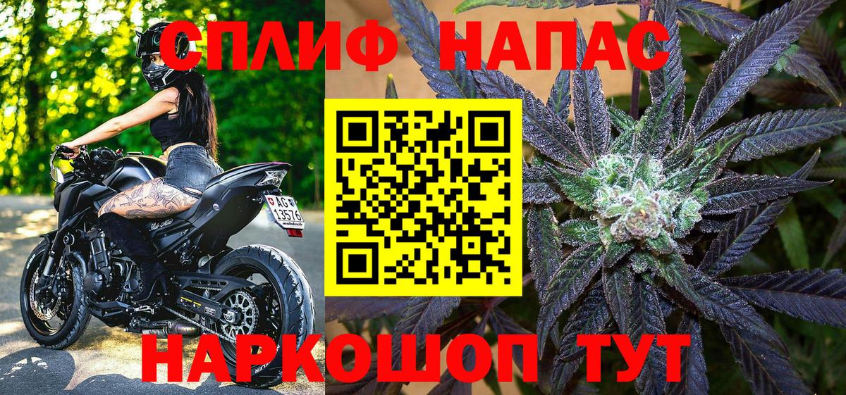 Канабис сатива Ростов-на-Дону